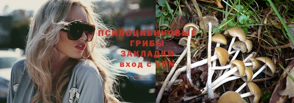 винт Вязники