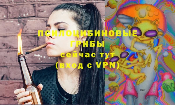 меф Вяземский