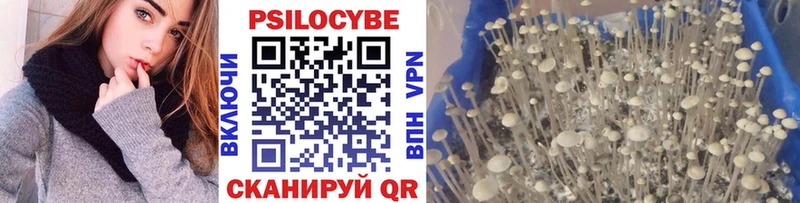 Галлюциногенные грибы MAGIC MUSHROOMS  Пермь 